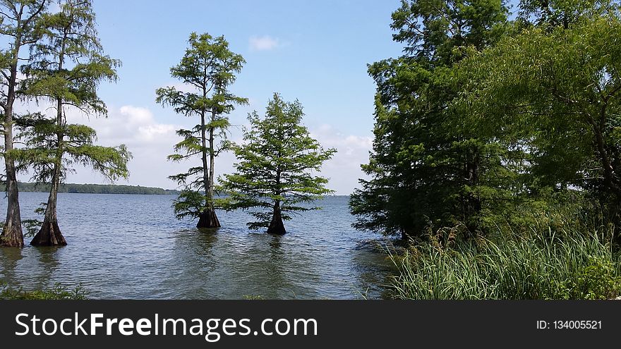 Water, Nature Reserve, Lake, Tree