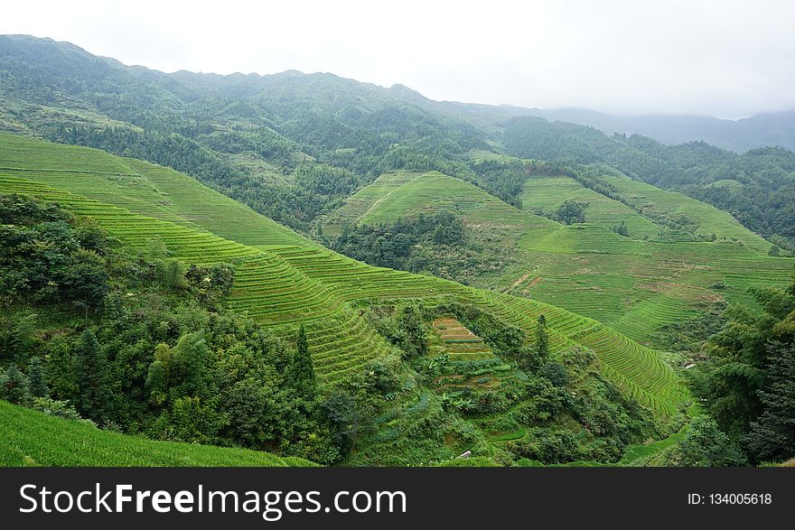 Highland, Vegetation, Hill Station, Hill