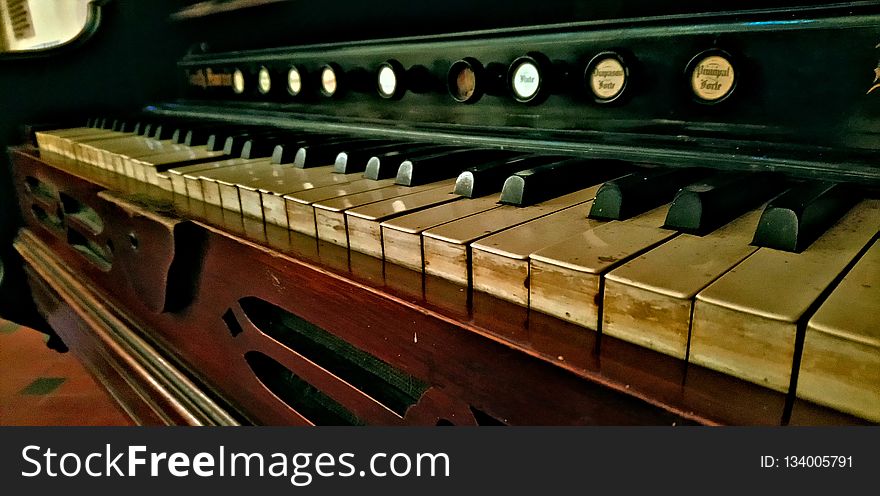 Musical Instrument, Keyboard, Player Piano, Piano