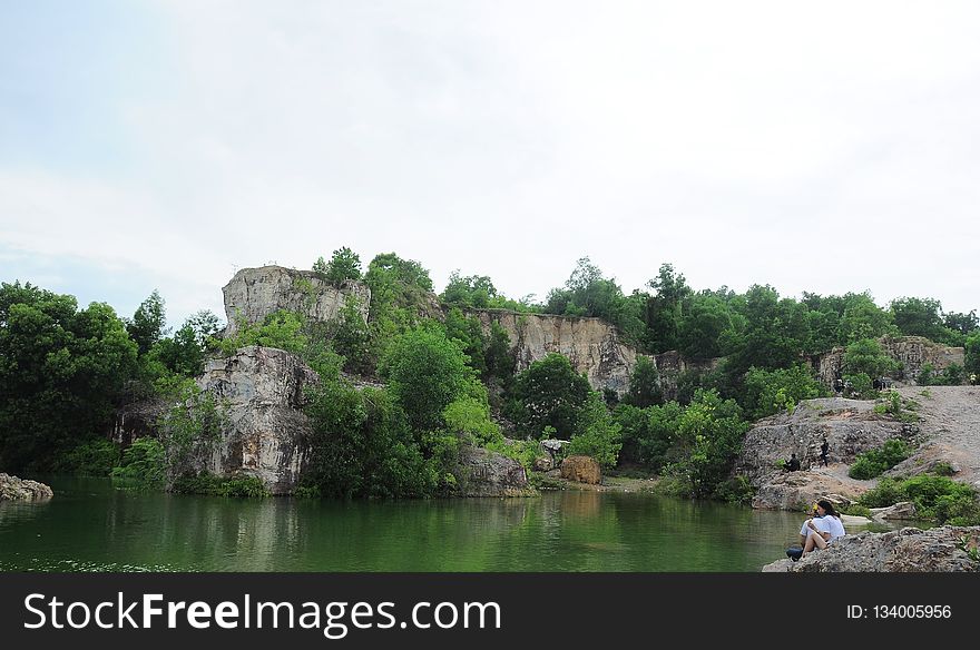 Nature Reserve, Vegetation, River, Water