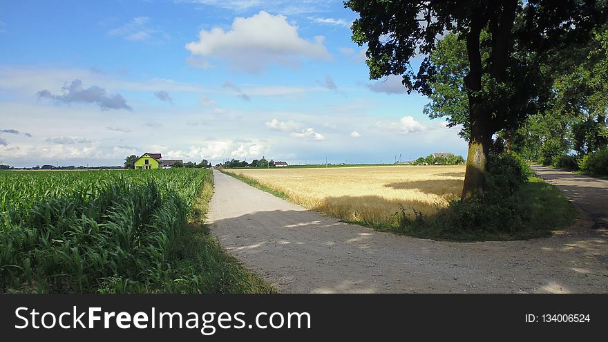 Nature Reserve, Road, Sky, Field
