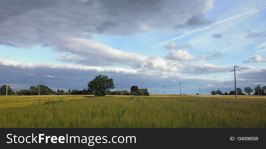 Sky, Grassland, Field, Cloud