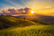 Sunset Time At Terraced Plantation Paddy Rice Field In Pa Bong Pieng , Mae Chaem, Chiang Mai, Thailand Stock Photo
