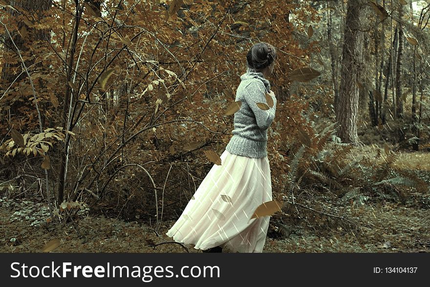Woodland, Dress, Tree, Forest