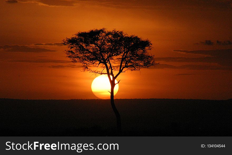 Sky, Sunrise, Afterglow, Sunset