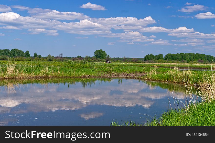 Water Resources, Wetland, Nature Reserve, Marsh