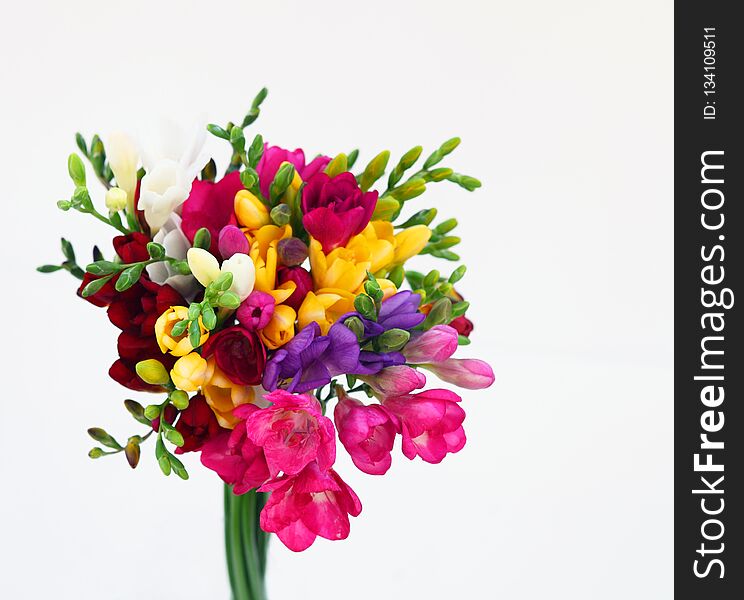 Bouquet of colorful flowers on white for spring and summer holidays and post card