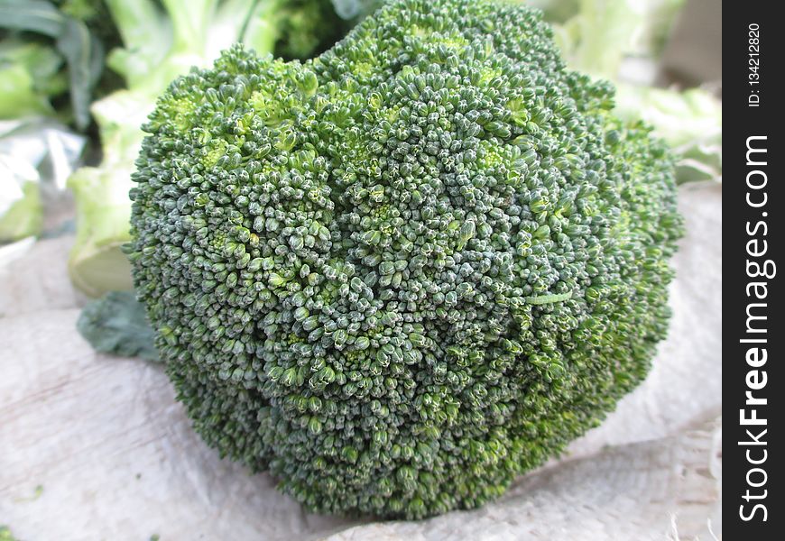 Broccoli, Plant, Grass, Flowerpot
