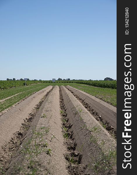 Road, Field, Soil, Path