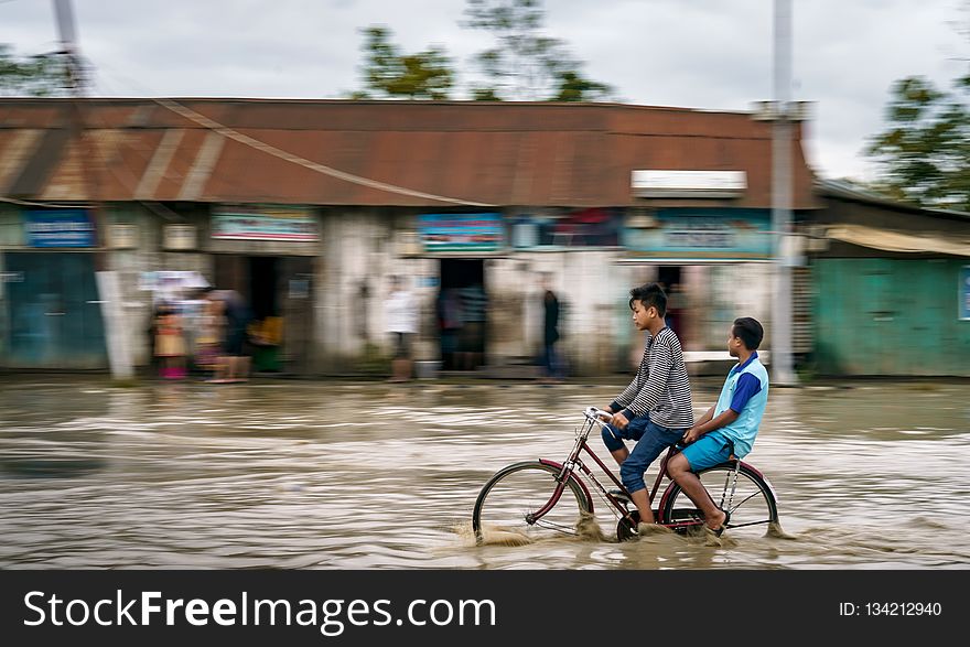 Water, Flood, Disaster, Natural Disaster