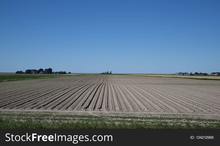 Sky, Field, Agriculture, Crop