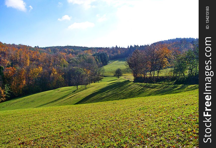 Grassland, Nature, Leaf, Hill