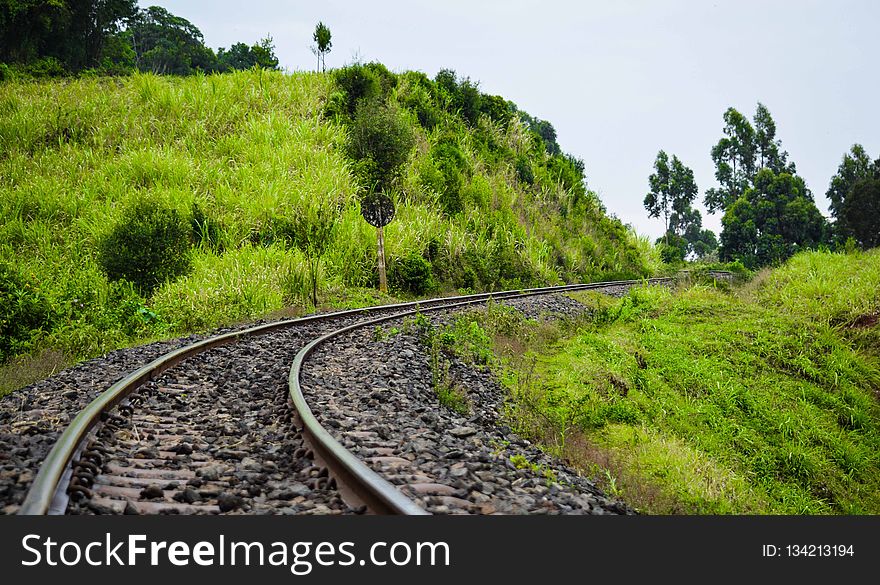 Track, Transport, Vegetation, Rail Transport