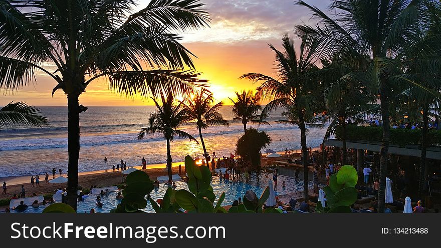 Body Of Water, Palm Tree, Sky, Arecales