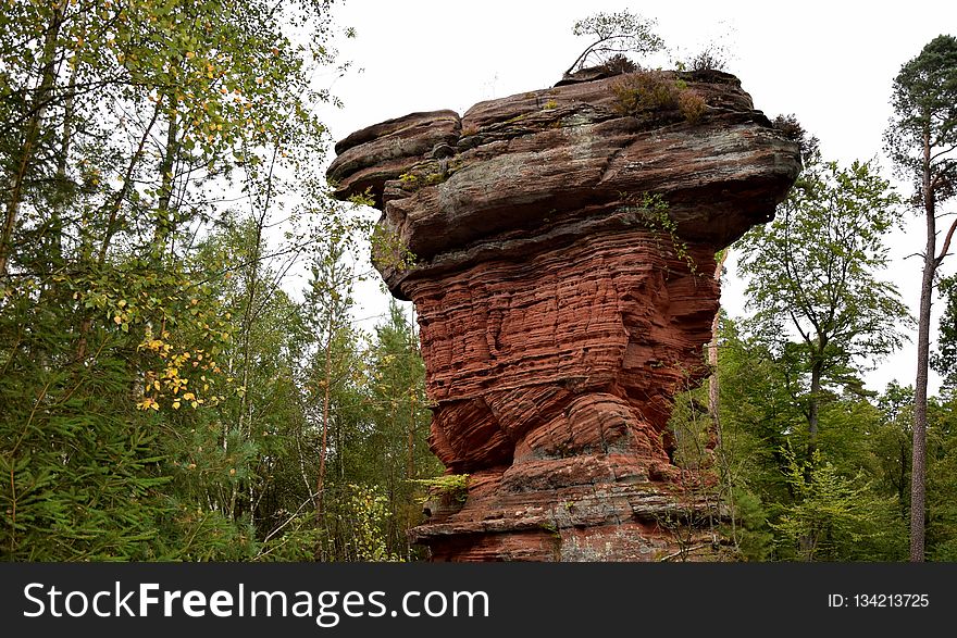 Rock, Nature Reserve, Tree, Bedrock