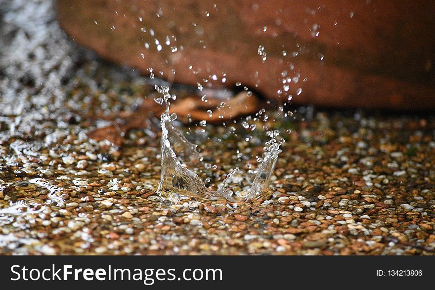Water, Macro Photography, Close Up, Soil