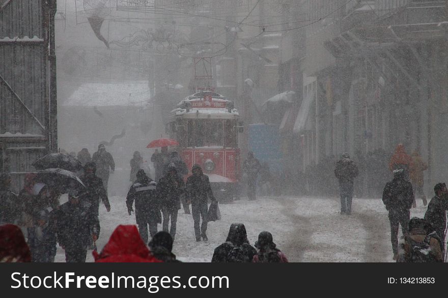 Snow, Winter, Geological Phenomenon, Freezing