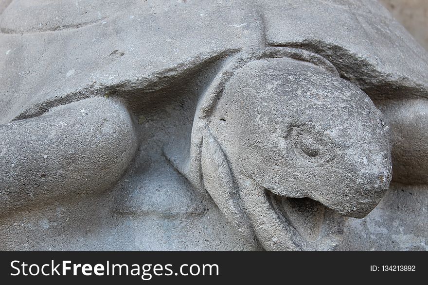 Stone Carving, Turtle, Sculpture, Sea Turtle