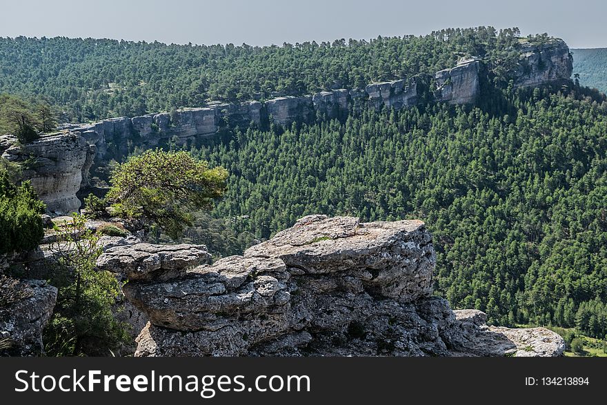 Rock, Vegetation, Nature Reserve, Tree