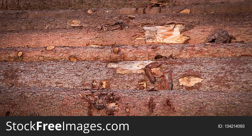Soil, Wall, Wood, Rust