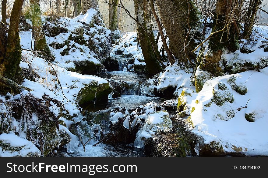 Water, Snow, Stream, Winter