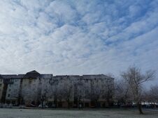Wintery Urban Street With Frosty Trees And Blue Sky Above Stock Photos Wintery Urban Street With Frosty Trees And Blue Sky Above Stock Photos