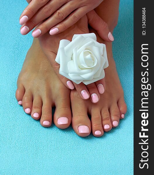 Beautiful female legs with a pedicure and hands with a manicure. On a blue background with a flower. Beautiful female legs with a pedicure and hands with a manicure. On a blue background with a flower