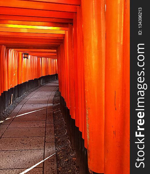 Fox sanctuary in Japan, Kyoto. Fox sanctuary in Japan, Kyoto