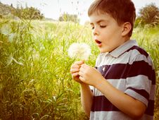 Free Little Boy Blowing A Dandelion Royalty Free Stock Photo - 134411245