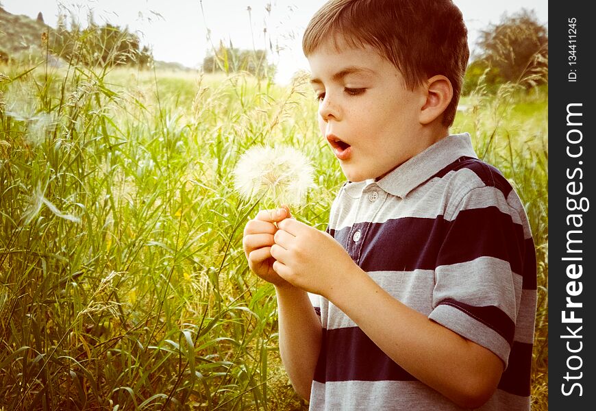 Little Boy Blowing a Dandelion