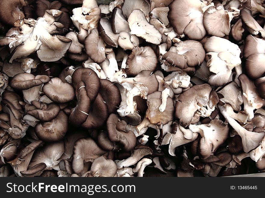 White mushrooms saling in a market。