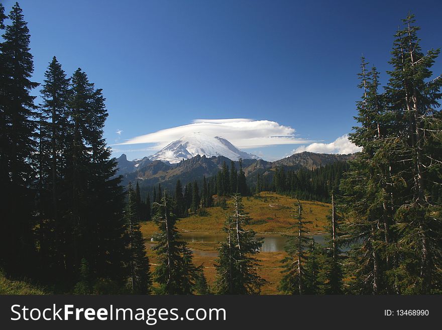 Mt. Rainier rises above the forests of Washington state.