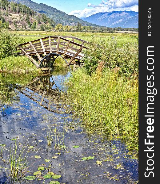 Water, Reflection, Nature Reserve, Vegetation