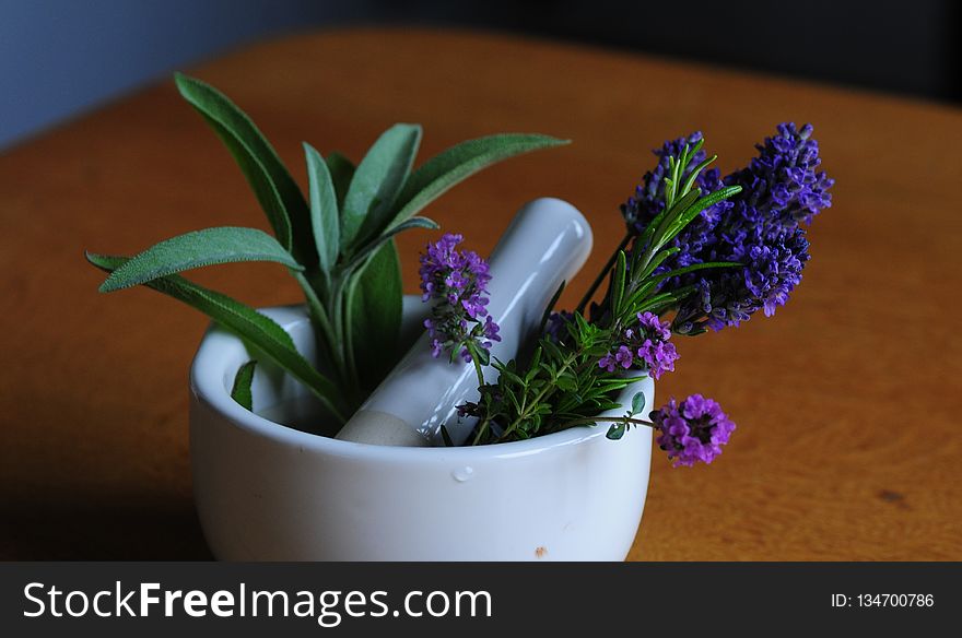 Plant, Flower, Flowerpot, Purple