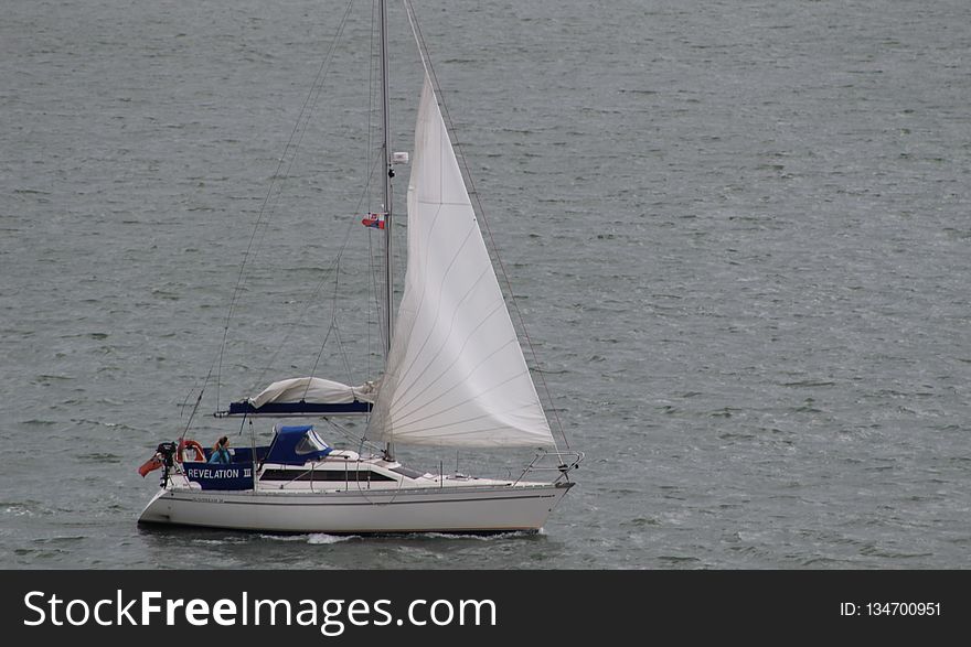 Sailboat, Sail, Boat, Water Transportation