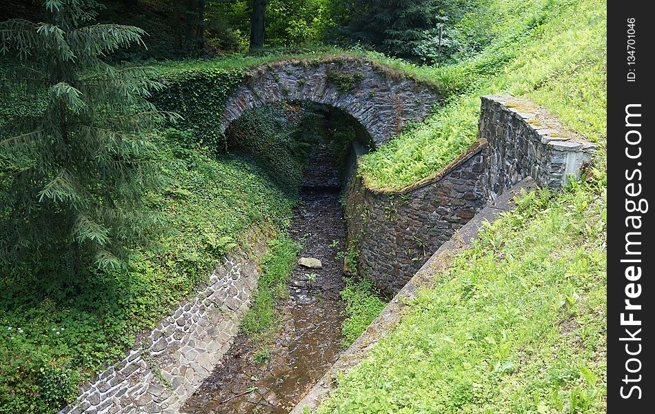 Vegetation, Nature Reserve, Grass, Watercourse