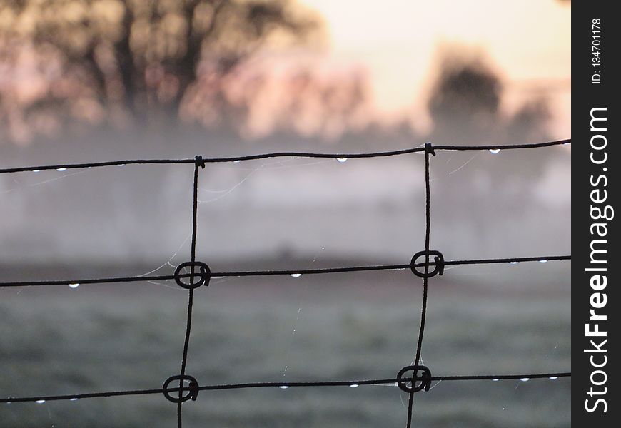 Wire Fencing, Barbed Wire, Fence, Sky