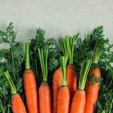 Bright Ripe Carrots With Leaves On The Table. Stock Photos
