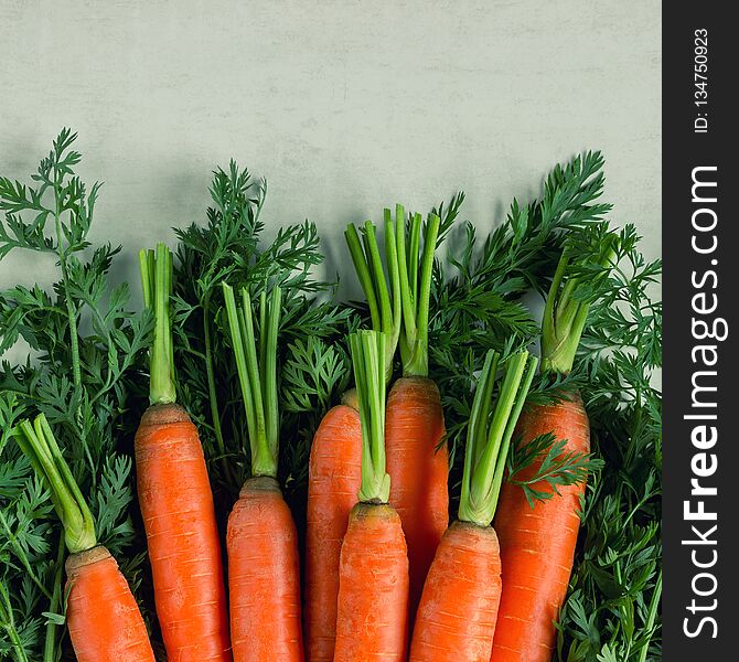 Bright ripe carrots with leaves on the table.