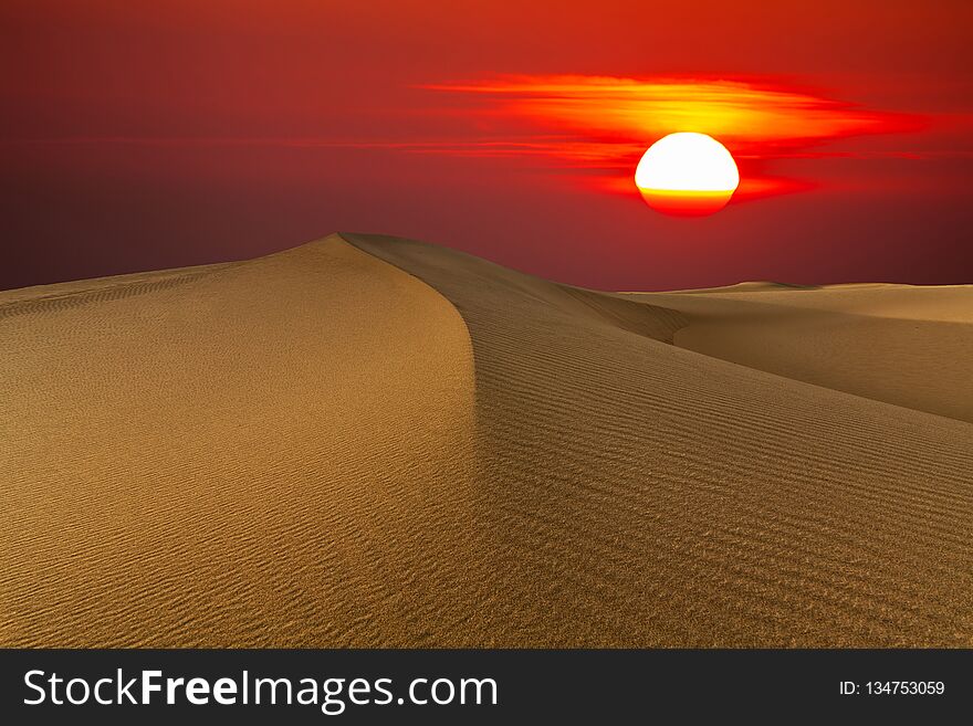 Beautiful Sunset In The Desert. Sand Dune On The Background Of The Setting Sun.