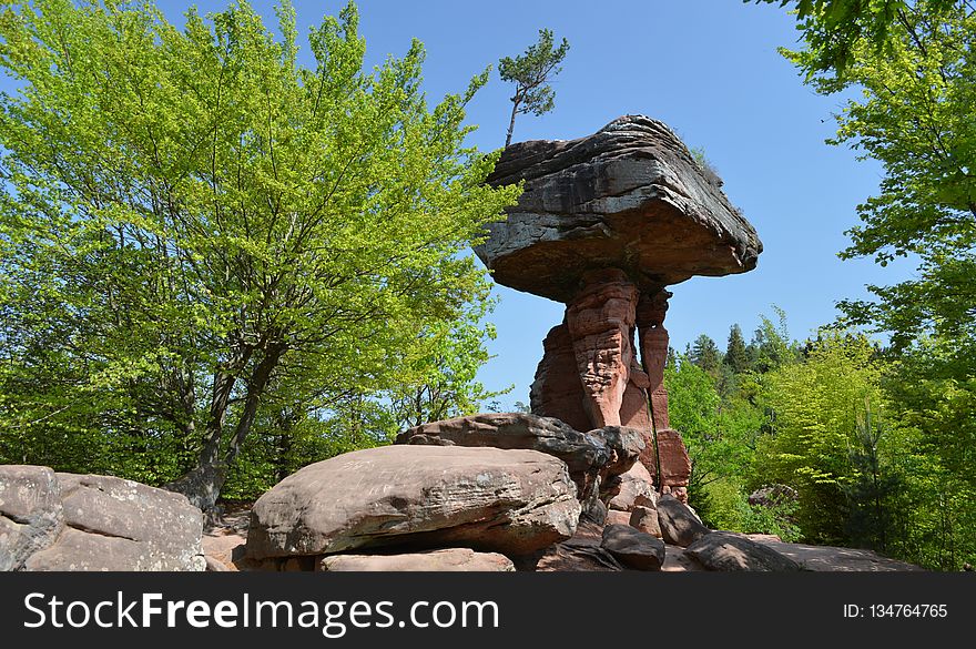 Rock, Tree, Nature Reserve, National Park