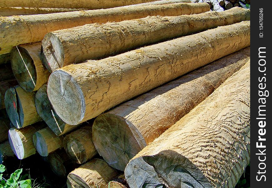 Wood, Lumber, Grass