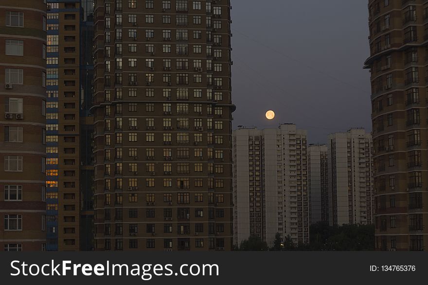 Skyscraper, Metropolitan Area, Tower Block, Building