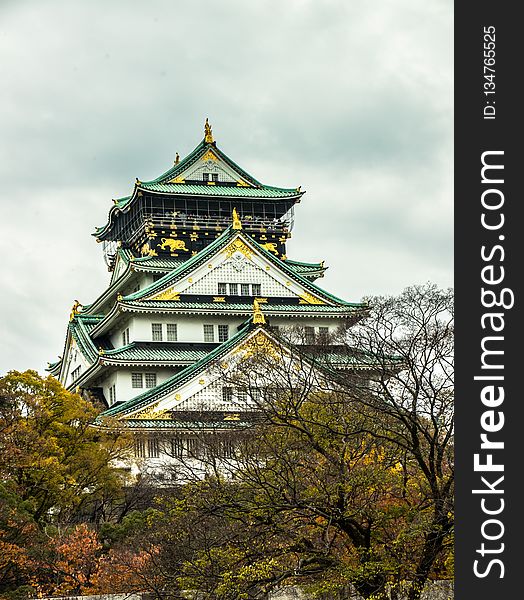 Chinese Architecture, Landmark, Sky, Tree