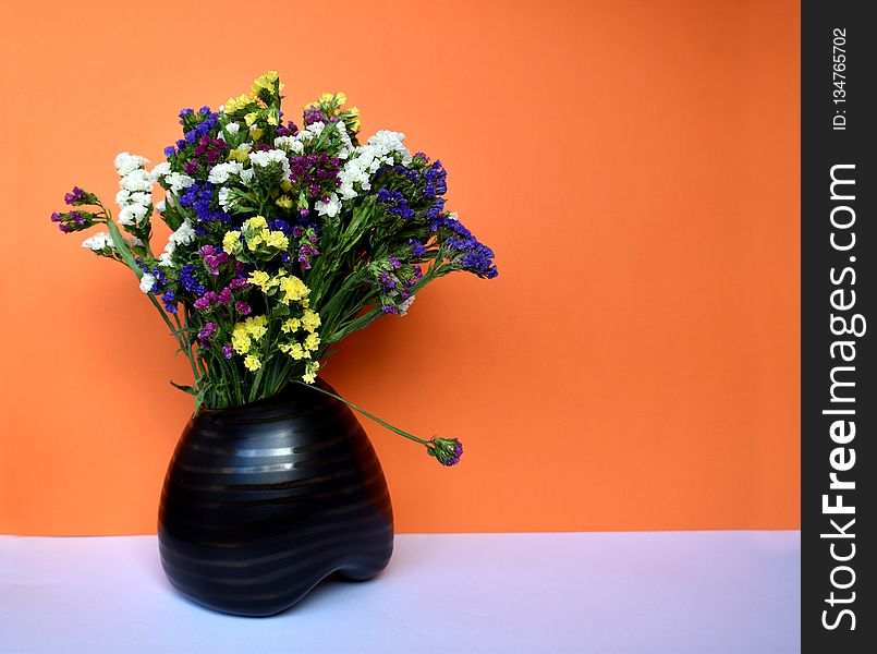 Flower, Vase, Plant, Flowerpot