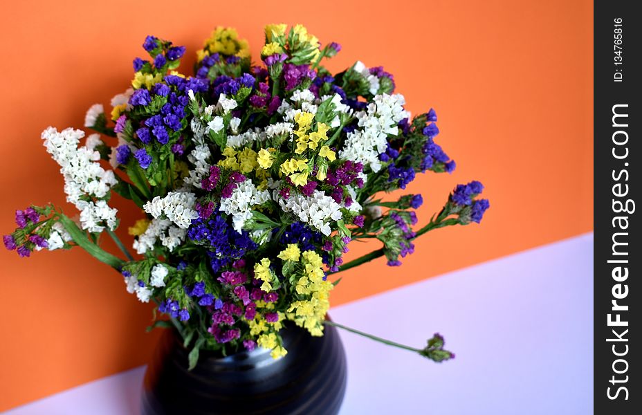 Flower, Plant, Flower Arranging, Flower Bouquet