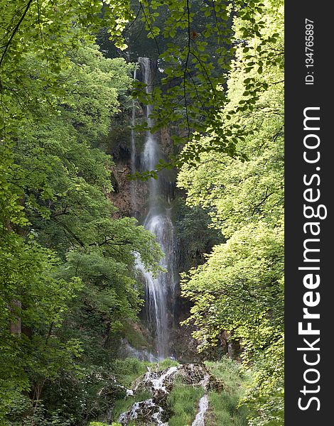 Waterfall, Water, Nature, Vegetation