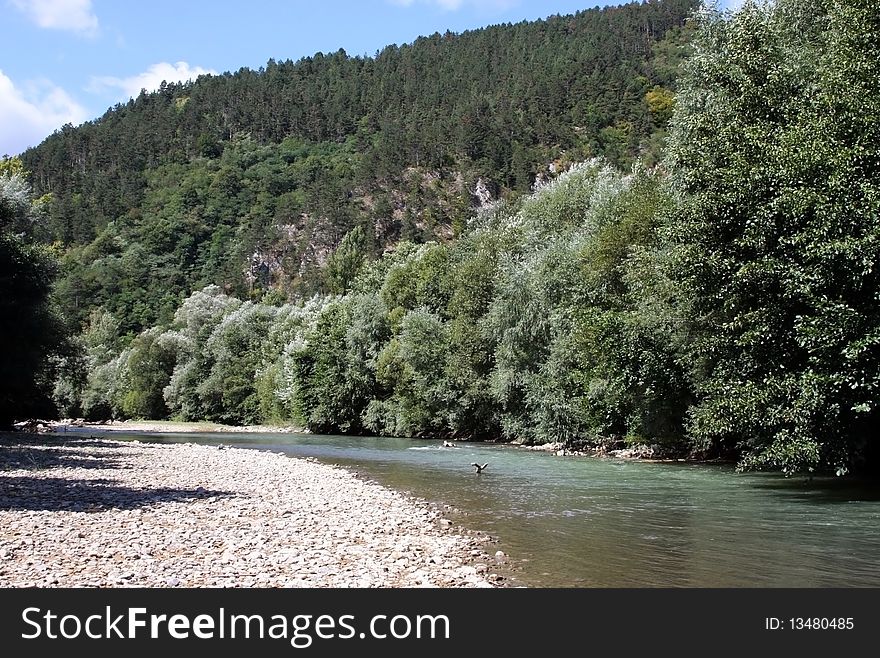 Beautiful view of the river in the summer. Beautiful view of the river in the summer