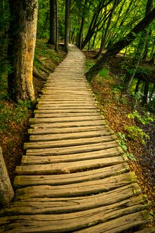 Wooden Pathway To Green Nature Stock Images