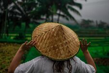 Beautiful Young Woman In Shine Through Dress Touch Asian, Vietnam Rice Hat. Girl Walk At Typical Asian Hillside With Rice Farming Stock Photo